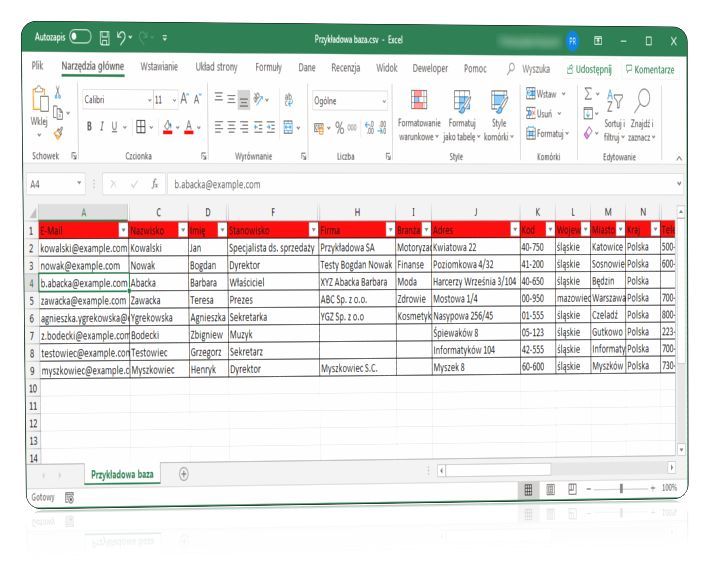 AnoMail - Baza danych w formacie Excel CSV